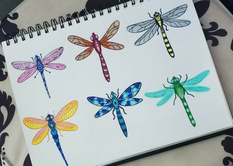 dragonfly illustrations mixed media art