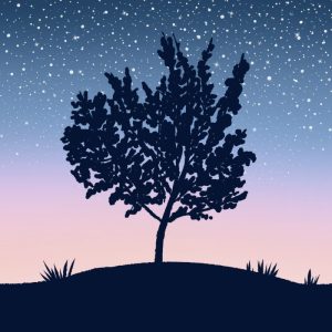 a tree silhouette against a sunset sky background