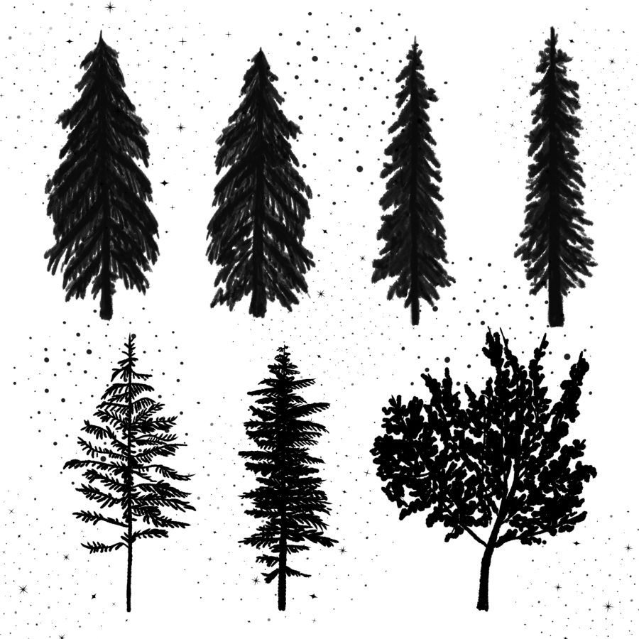 trees and stars brushes