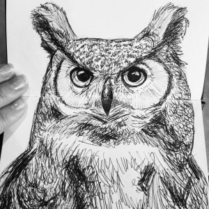owl drawing sketch moleskine sketchbook