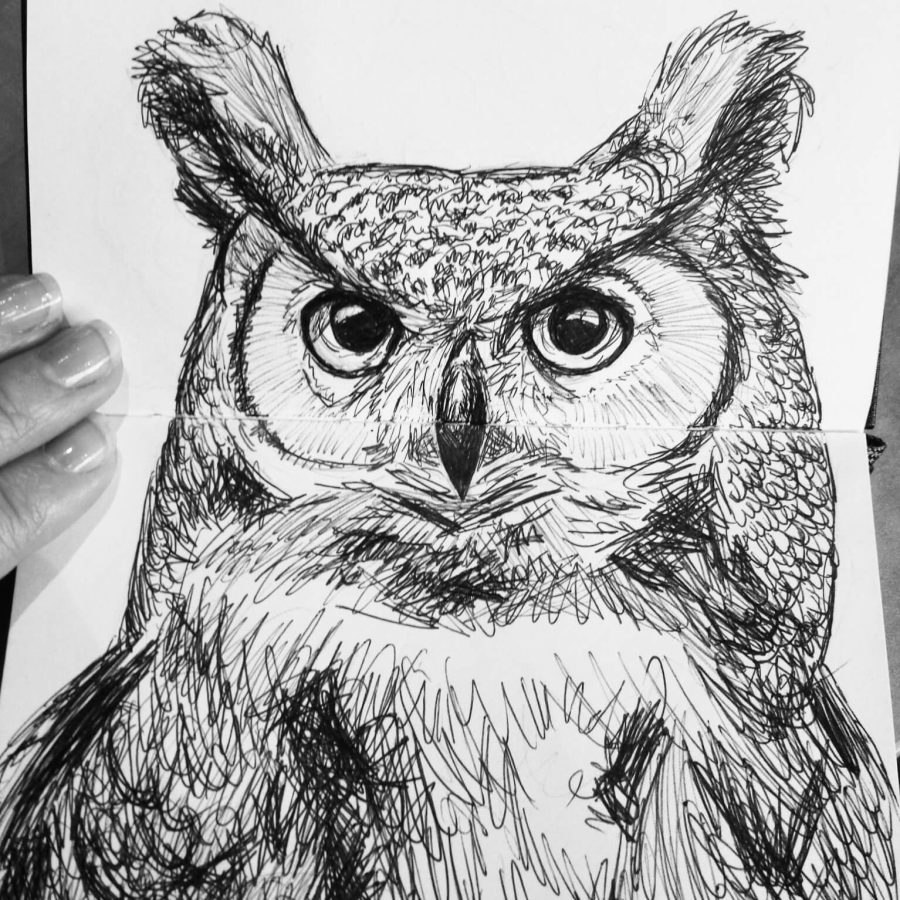 owl drawing sketch moleskine sketchbook