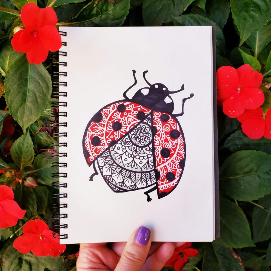 ladybug mandala instagram