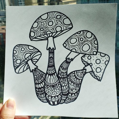 zen mushrooms drawing in sketchbook art ideas