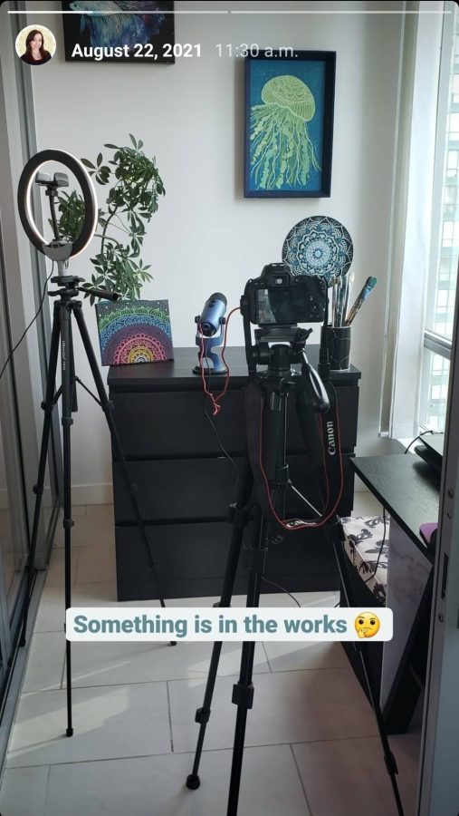 instagram story post ideas for artists