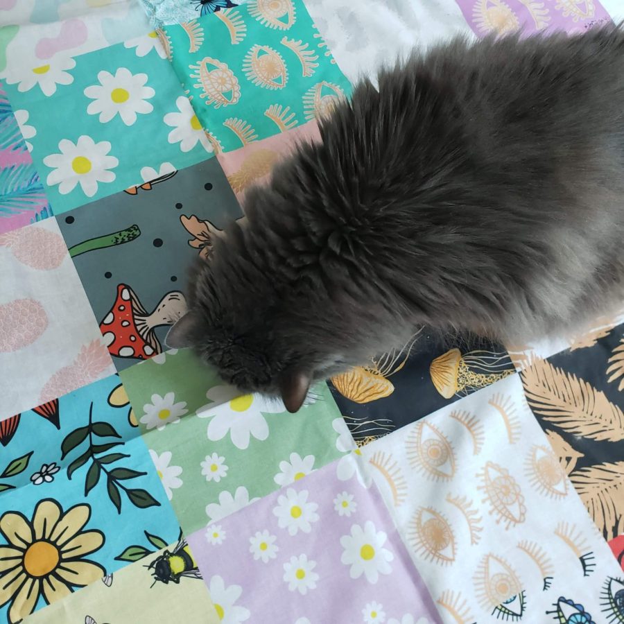 spoonflower samples with kitty