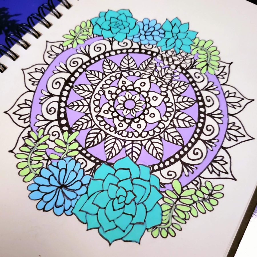 succulent mandala