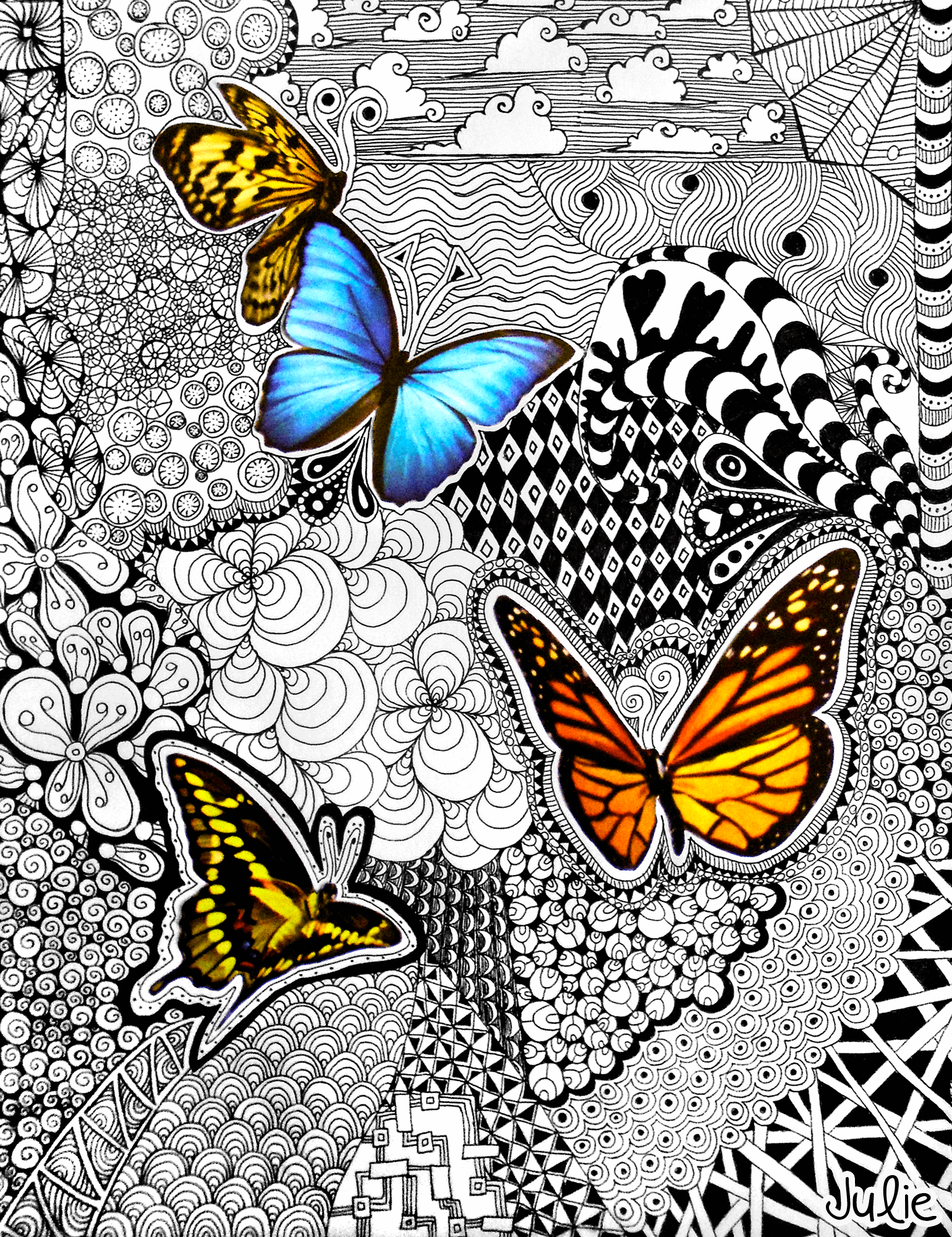 butterfly zentangle drawing art doodle collage butterflies